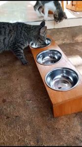 tempat makan hewan peliharaan kucing dan anjing