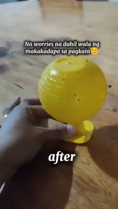 Fruit Fly Trap Fly Catcher Sticky Insect Trap Fruit Fly Killer For Kitchen Home Indoor Outdoor
