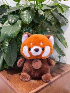 (Tặng thiệp) Gấu bông gấu trúc đỏ dễ thương quà tặng tốt nghiệp