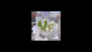 FLOWER Transparent Film Bouquet wrapper waterproof plastic paper（Bakery Food Gift Clothing Waterproof Packaging）