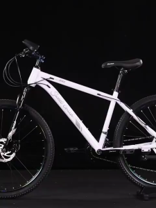 Sweet Child 26 Inch 24 Speed Rainbow Mountain Bike High Carbon Steel Dual Disc Brake Bicycle Basikal Gunung
