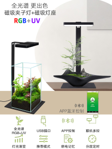 Wilkang Micro Landscape Lamp Landscape Plant Grow Light Full Spectrum Water and Land Tank Rainforest Tank Creative Desktop Plant Lamp