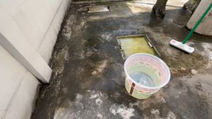 น้ำยาล้างพื้น ล้างคราบสกปรกบนพื้นหน้าบ้าน โรงรถ หรือพื้นต่างๆ คราบตะไคร่น้ำฝังแน่น คราบน้ำมันฝังแน่น 1 ลิตร By น้องแมวพลัสสโตร์