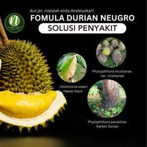Neugro Fomula Solusi Pencegah Penyakit Durian Hawar Daun/Busuk Buah/Kanker Durian Disease Prevention Formula Rotten Fruit 榴莲病害解决方案 黑头病 烂叶病 黑霉烂果