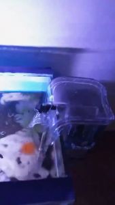 Filter Air Aquarium Gantung 3W 200-250L/Jam Penyaring Akuarium Aquascape