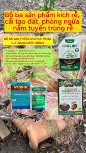 Bộ ba sản phẩm kích rễ cải tạo đất phòng ngừa nấm tuyến trùng rễ Atonik_Tricoderma_Humic