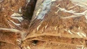 ปุ๋ยขี้ไก่แกลบ มูลไก่เนื้อเลี้ยง 45 วัน บำรุงพืช ผัก พืชสายเขียว ปุ๋ยอินทรีย์จากธรรมชาติ ขนาด 5 กิโลกรัม