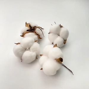 2025 Childrens Socks Spring Summer Girls Three-Dimensional Cartoon Cotton Socks Boat Socks Sports White Mesh Breathable Boys Girls Socks