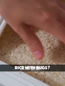 Rice Storage Box Clear Grain Container Household Cereal Rice Bucket Insect and Moisture Proof Sealed Kitchen Organizer