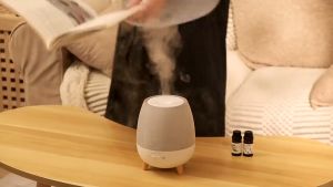 [LIULIU MEI]เครื่องพ่นสารเคมีอโรมา 300ml เครื่องพ่นสารเคมีไอน้ํากระจายกลิ่นหอมอัลตราโซนิก เครื่องทําความชื้นในครัวเรือน