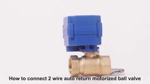 DN20 3/4 Stainless Steel Two Way Motorized Ball Valve DC5V 12V 24V AC220V Electrical Ball Valves 3/4 CR01 CR02 CR03 CR04 CR05