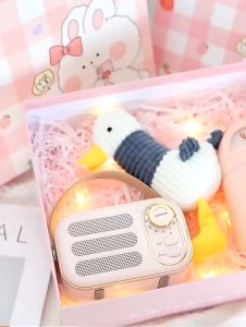 Loa Bluetooth Mini DW13 Vintage Retro - Âm thanh 3D Bluetooth 5.0 Hỗ trợ kết nốt USB AUX và thẻ nhớ TF Đa Màu Sắc