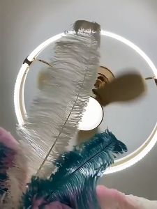 Modern Ceiling Fans With Lights And Remote Control Dimmable Low Profile Ceiling Fan 6 Speeds Flush Mount Ceiling Fan With Light For Bedroom Kids Room Living Room
