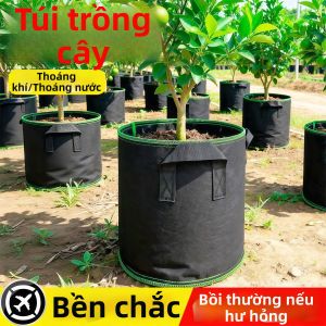 NAIFUNA | Túi Trồng Cây Bền Dày