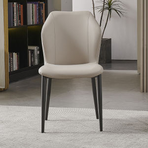 DUOBAOFUXING | Luxury Premium Modern Cat-Scratch Proof Dining Chair