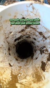 Tabung Pipa Lubang Biopori Panjang 50 cm Bahan PVC