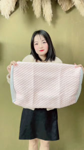 Vỏ gối áo gối ngủ lụa lạnh thoáng khí DandiHome vân nổi hình hạt đậu matxa