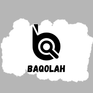 Baqolah Tas Ransel Anak Sekolah Jz-Cat Jz060BQ Backpack Large