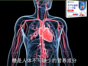 ✨SG【STOCK】Japan Diabetic Blood Sugar Control Patch 12pcs/box Fasting Blood Sugar Relief Promote Blood Circulation 降糖贴