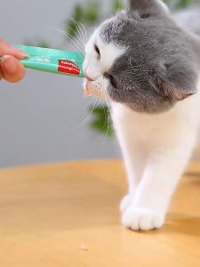 ช้อนป้อนข้าวแมว ช้อนป้อนอาหารแมว ช้อนป้อนขนมแมว