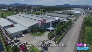 DUREX PERFORMA (ดูเร็กซ์ เพอร์ฟอร์มา) ขนาด 52.5 มม. 1 กล่อง บรรจุ 3 ชิ้น