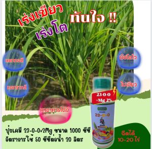 ปุ๋ยน้ำ เร่งต้น เร่งใบ เขียวนาน เเตกกอดี