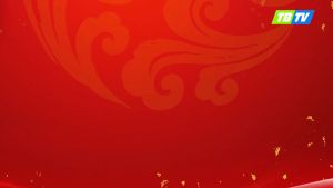 Trà túi lọc thảo mộc Đinh lăng Phú Hưng AP bổ não an thần ngủ ngon hoạt huyết lợi sữa tăng cường sinh lực - Hộp 25 gói