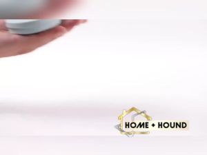 HOME+HOUND Silicone Collapsible Cups for Camping Travel Small Portable Drinking Cup with Lids Reusable for Outdoor Hiking