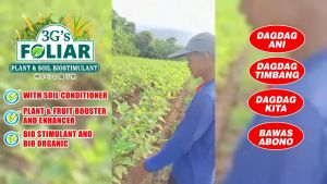 3Gs Super Foliar (Japan Technology) - Soil & Plant Adjuvant Bio-Stimulant Liquid Bio-Fertilizer.