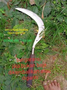 arit rumputpadiranting dll kwalitas super madura