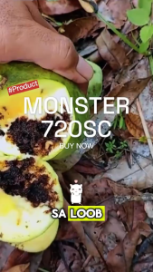 [HOT SALE] Monster 720sc 500ml: Reliable Botanical Defense And Sustainable Recovery Strategy For Organic Crop Diseases