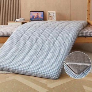 Dual-Season Comfort Sleep Mat