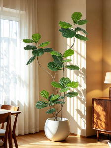 LIANYOU | Atmosphere Enhancing Realistic Ficus Green Plant Potted
