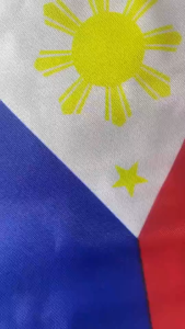 10Pcs Philippine Flaglets Nylon Material Mini National Hand Waving Flag With Plastic Sticks