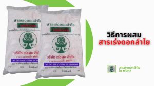 สารเร่งดอกลำไย เป็นสารเร่งดอกลำไยชนิดพ่น ที่สร้างขึ้นจากเหมือนไว้ในประเทศไทย ปุ๋ยเร่งดอก เร่งดอก สารเร่ง เร่งดอกลำไย น้ำหนัก 5 กิโลกรัม ตรจากผลงานวิจัยที่ได้รับรางวัลงานวิจัยดีเด่นระดับชาติ ปี พ.ศ. 2543 ได้รับทุนสนับสนุนจาก กสว