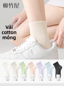 B&C.Room | Anti-odor Cotton Womens Short Socks
