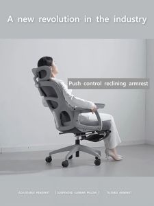 Frocill 1038 Ergonomic office chair Office Chair Mesh Computer Chair Lounge Chair Reclining Headrest ergo fabric lumbar with footrest