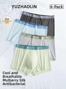Yuzhaolin | Ice Silk & Silk Summer Thin Mens Briefs