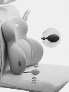 NIRA | Ergonomic Lumbar Support Cushion