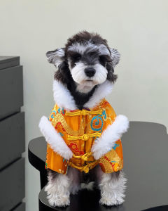 Thickened Cotton Pet Clothes Winter Style Dog Traditional Costume Dragon Robe New Year Greeting Warmth Set for Pets