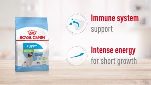 Hạt cho chó Royal Canin Xsmall Adult Thức ăn cho chó trưởng thành giống siêu nhỏ 1.5kg Petemo Pet Shop