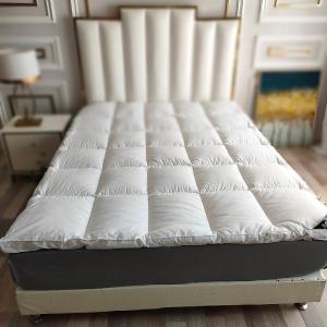 Suitable for Rental Households Light and Thin Twin-Sized Mattress Pad