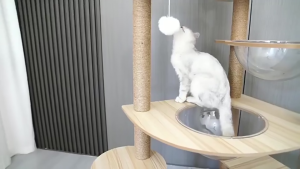 Cat Condo Tropical-Climate Cat Tower with Cooling Perches 2-in-1 Wood Climbing Frame & Swap Scratching Posts Cat Cage