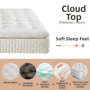 Double Layer Detachable High End Handmade Horsehair No Glue Mattress