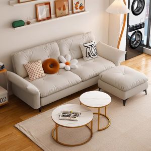 Modern Minimalist Cat Scratch Sofa Bed Foldable Single Double Size Apartment Living Room Furniture Cloth Art Sofa