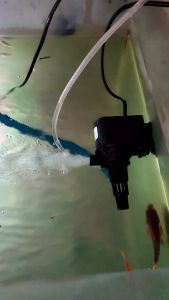 3 In 1 Aquarium Top Filter Fish Tank Filter With Filter Oxygen Pump