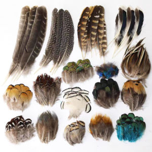 50pcs Natural Pheasant Feather Crafts DIY Carnival Accessories Chicken Feathers Handicraft Jewelry Earring Decoration Plumes