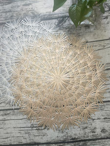 Nordic Gold Color Table Mat High End Heat Resistant Dining Table Mat for Western Food Restaurant Home Use Anti-Scalding Plastic