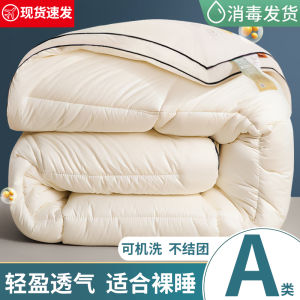 Soybean Fiber Quilt Quilt Winter Quilt Thickened Heattech Single Student Dormitory Cotton Duvet Insert Airable Cover Quilt for Spring and Autumn