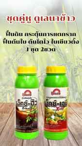 ชุดคู่หู ดูเลนาข้าว ฟื้นดิน กระตุ้นการแตกราก ฟื้นต้นใบ ต้นโตไว ใบเขียวตั้ง 1 ชุด 2ขวด